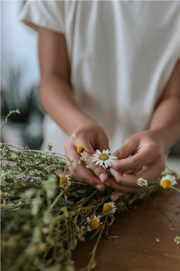 Beautiful flower arrangement in basket