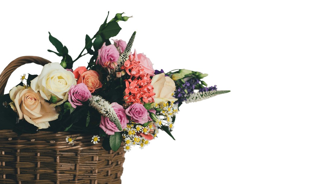 Beautiful flower arrangement in basket
