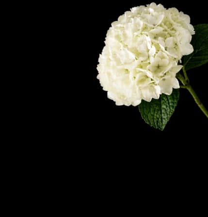 flower-mobile-1